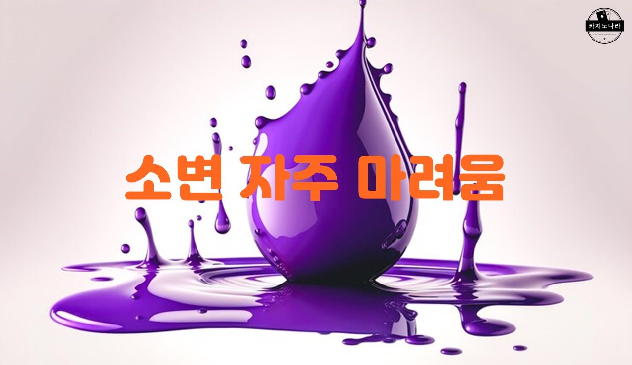 소변 자주 마려움
