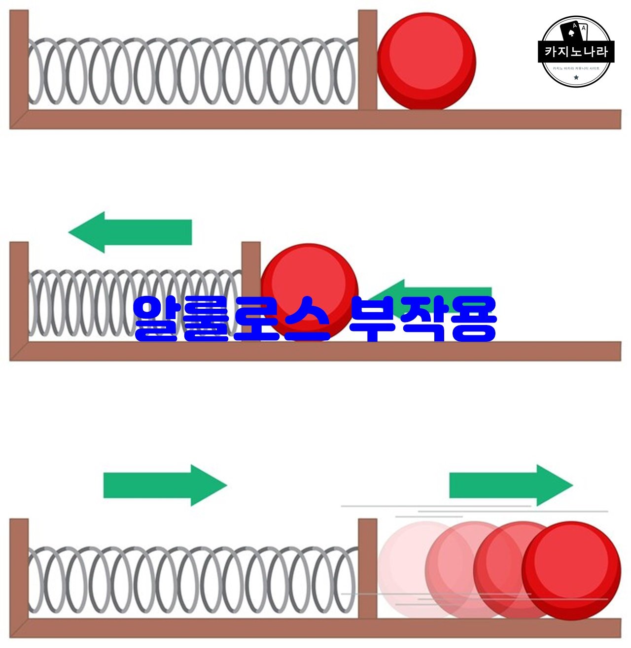 알룰로스 부작용