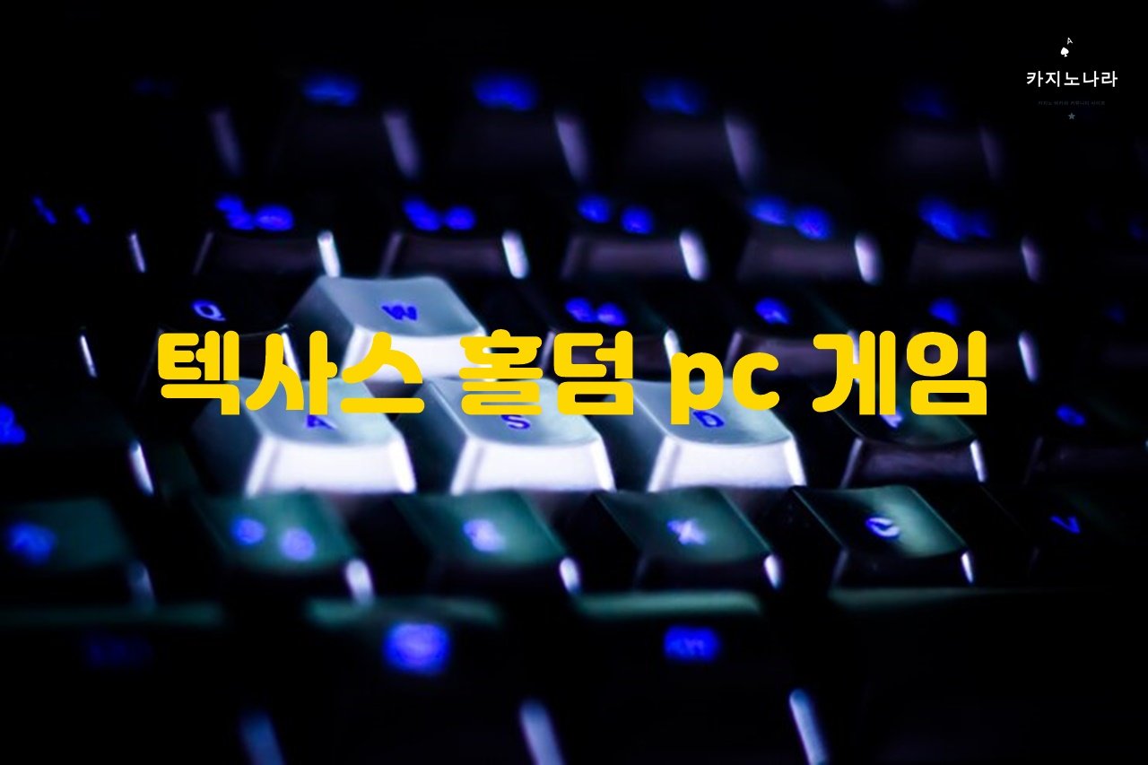 텍사스 홀덤 pc 게임